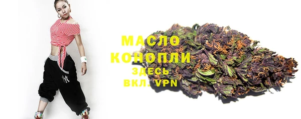 твердый Арсеньев