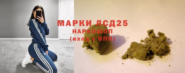 твердый Арсеньев