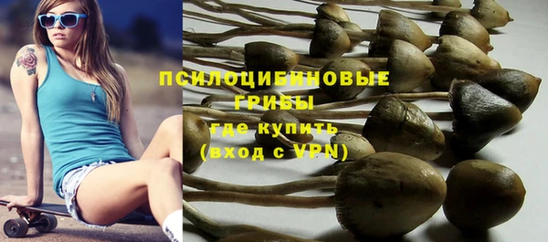 твердый Арсеньев
